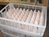 cnc BT70 balsa nose cone production cnc BT70 balsa nose cone production