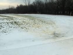 Certification Test Snow Imprint Certification Test Snow Imprint