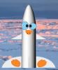 Penguin Model Rocket Kit from Sunward Penguin Model Rocket Kit from Sunward
